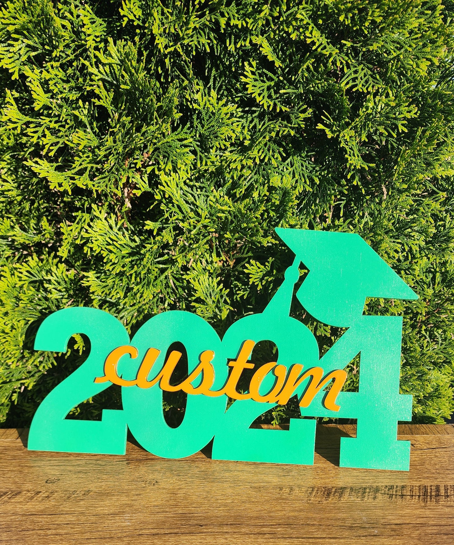 2024 Graduation Cap Wood Sign w/ Personalized Name