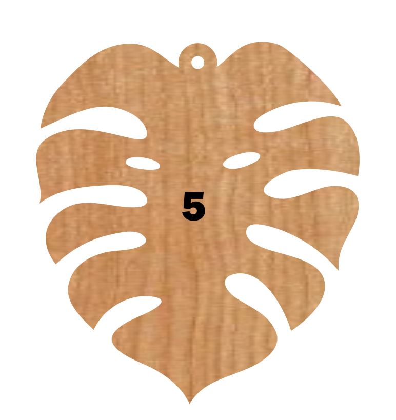 Monstera Leaf Collection