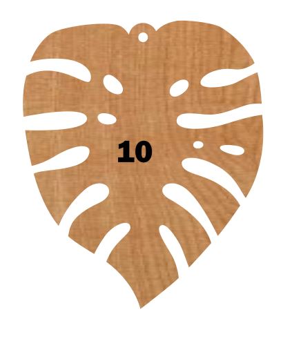 Monstera Leaf Collection