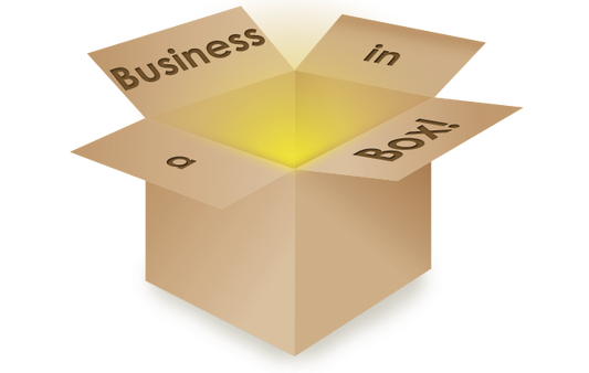 Minimalist Boho Biz in a Box