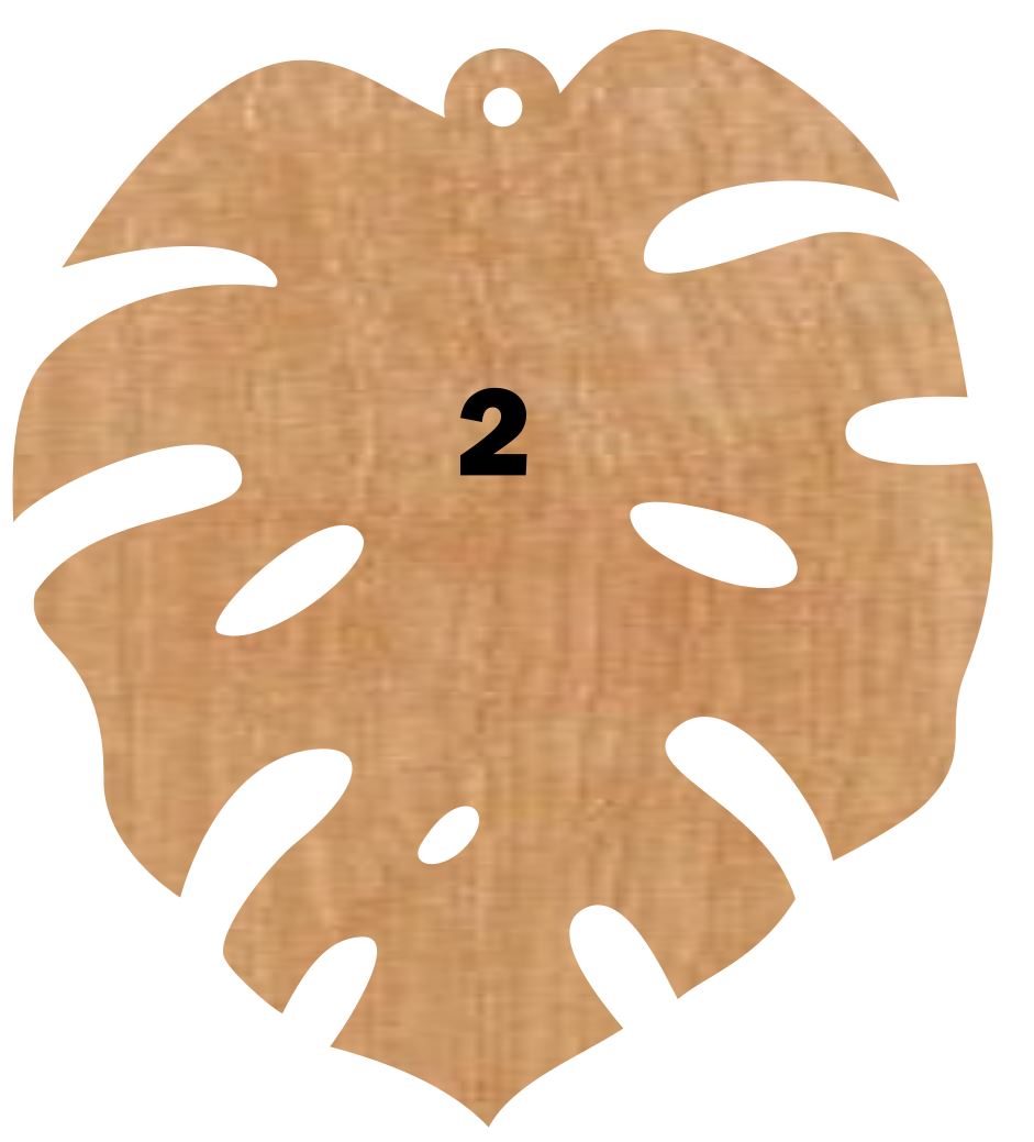 Monstera Leaf Collection (1, 3 & 5)