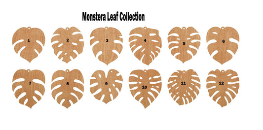 Monstera Leaf Collection