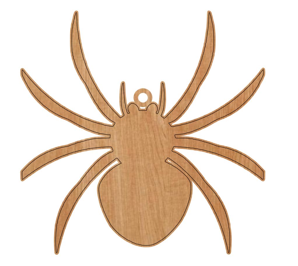 Spider