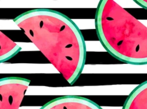 Watermelon Stripes- Printed Pattern Designs (Sets)